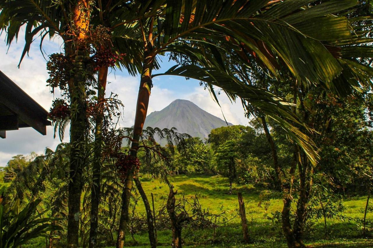 Confort Arenal La Fortuna Zewnętrze zdjęcie